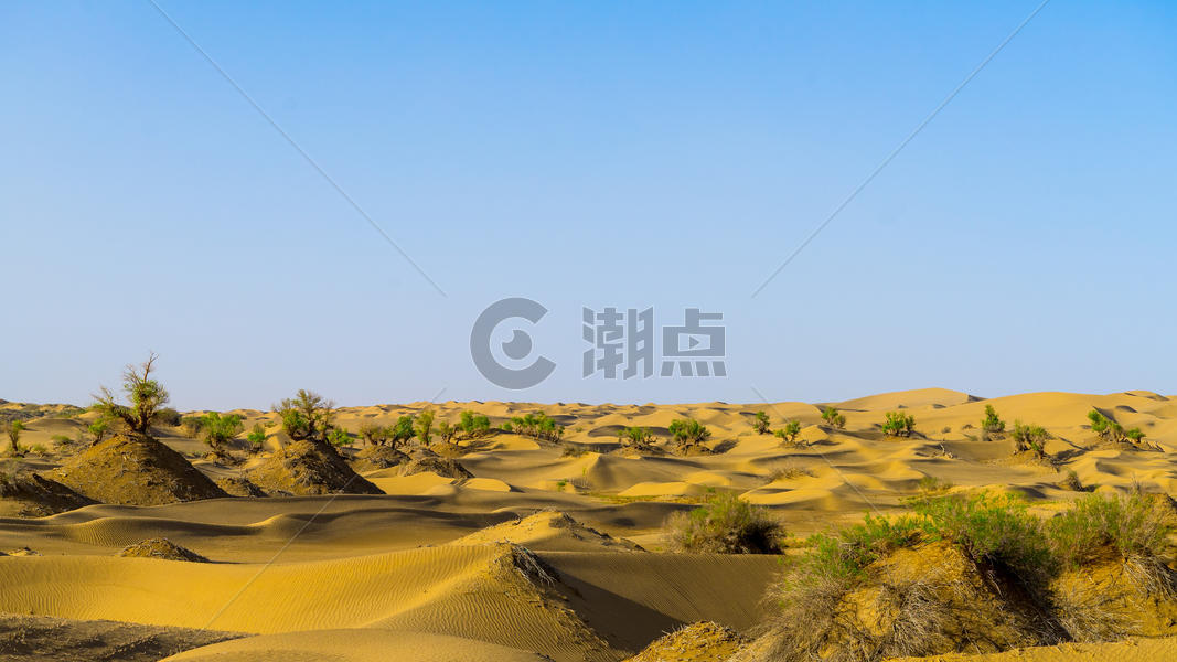新疆塔克拉玛干大沙漠图片素材免费下载
