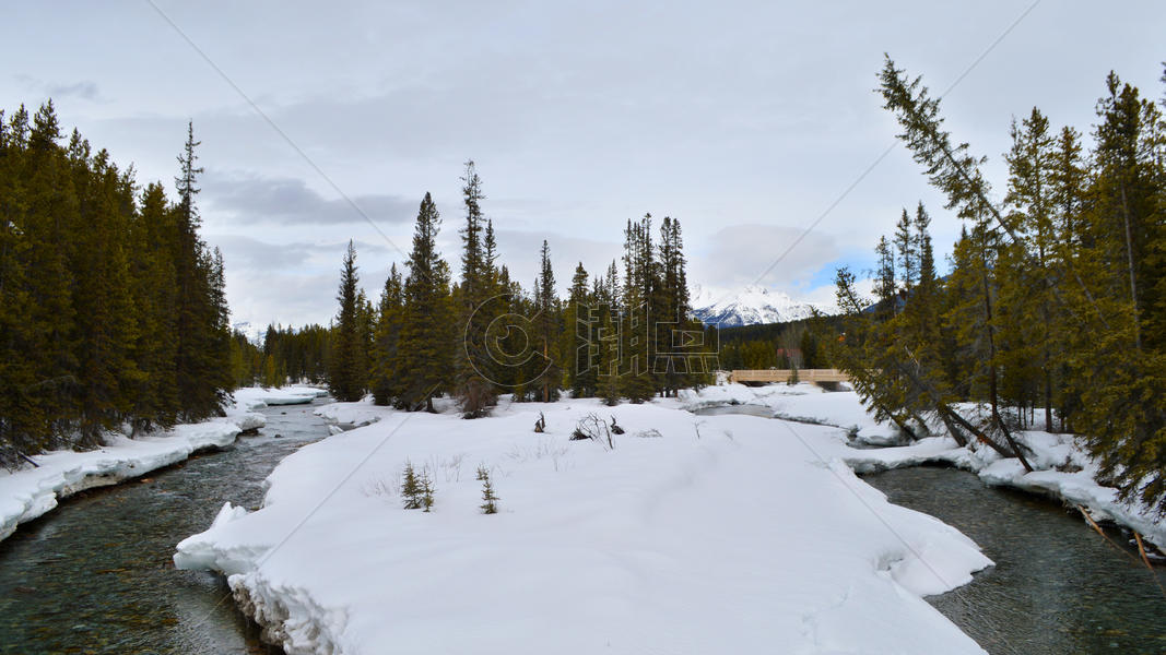 加拿大班夫国家公园森林风景图片素材免费下载