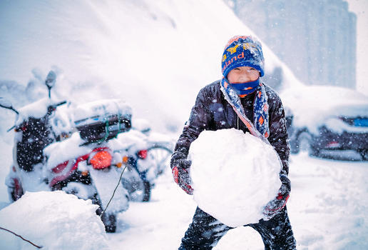雪中堆雪球玩雪的男孩图片素材免费下载