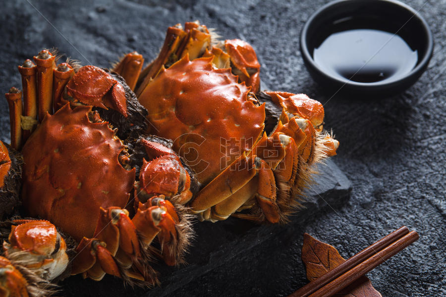 美味的大闸蟹图片素材免费下载