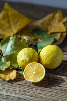 秋天的落叶和柠檬图片素材免费下载