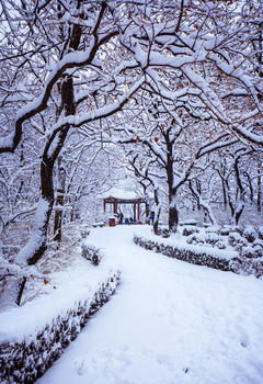 冬天美丽的雪景图片素材免费下载
