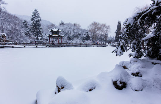 冬天浪漫的雪景图片素材免费下载