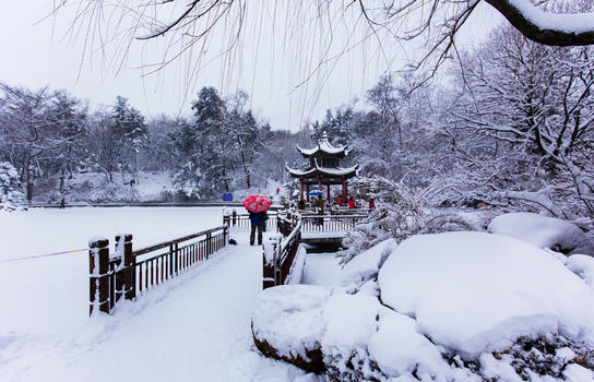 冬天浪漫的雪景图片素材免费下载