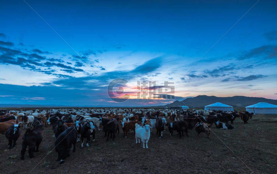 秋天草原上的羊群图片素材免费下载
