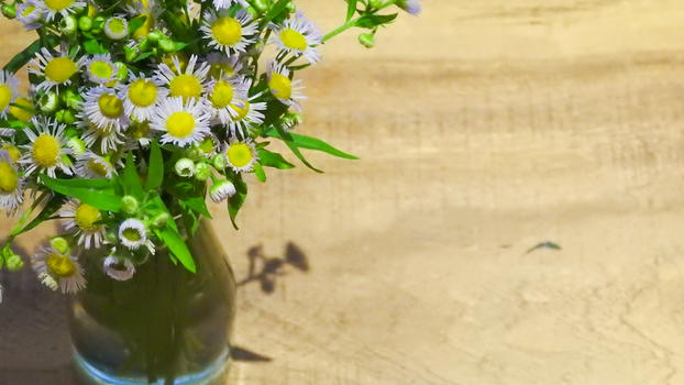 木质桌上的花瓶和花朵图片素材免费下载