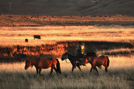 新疆阿拉泰牧业草原山脉图片素材免费下载