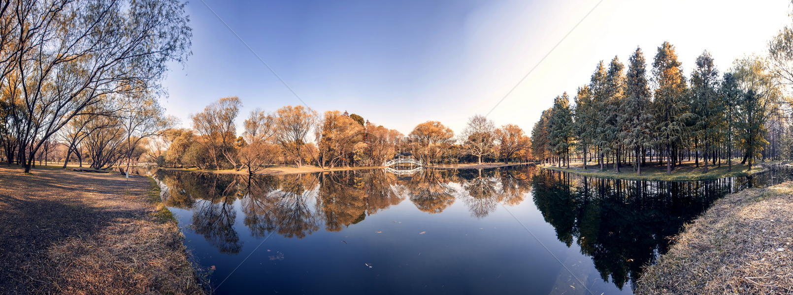 上海共青森林公园秋色全景图图片素材免费下载
