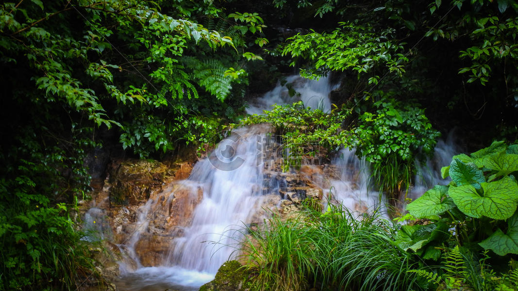 绿色植物掩映中的溪流瀑布图片素材免费下载