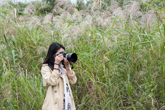 秋天武汉江滩芦苇拿相机少女图片素材免费下载