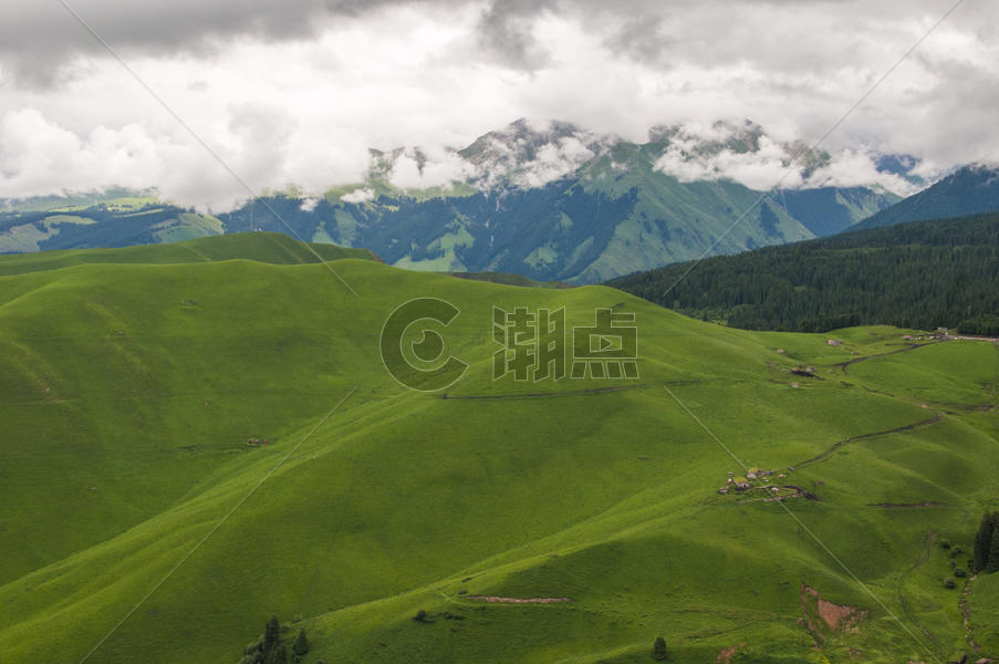 新疆高山草原图片素材免费下载
