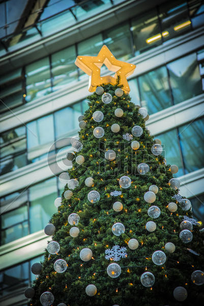 圣诞节圣诞树装饰图片素材免费下载