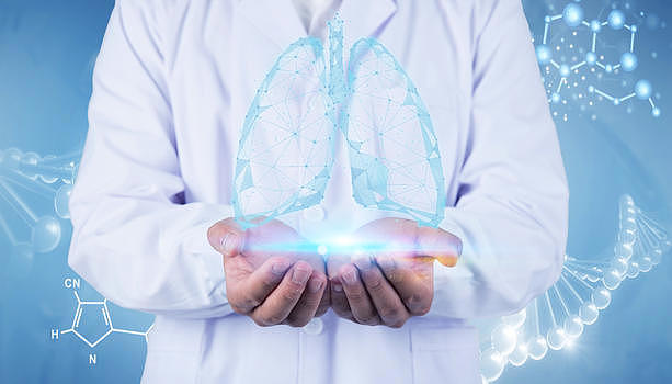 医生双手上的肺部图片素材免费下载