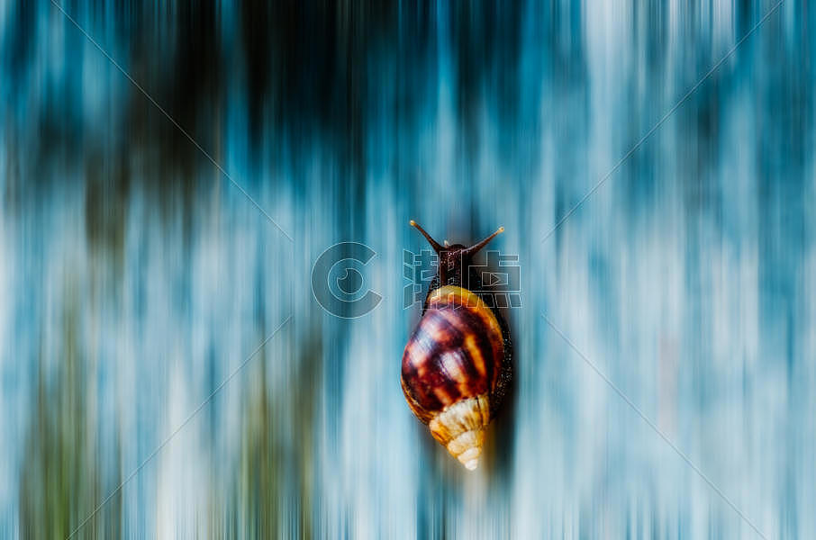 蜗牛般的速度图片素材免费下载