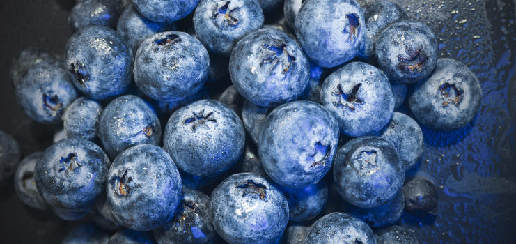 新鲜成熟的蓝莓图片素材免费下载