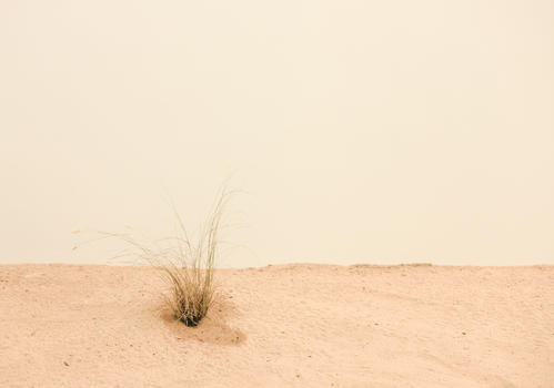 沙漠荒草极简背景素材图片素材免费下载
