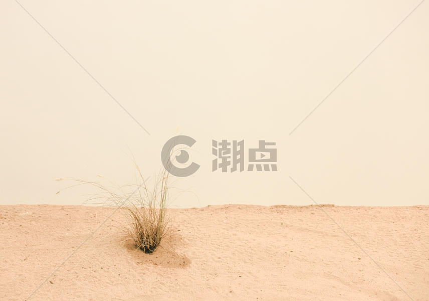 沙漠荒草极简背景素材图片素材免费下载