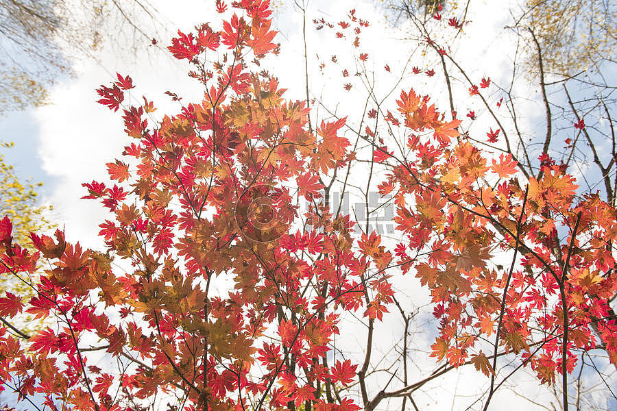 秋天风景图片素材免费下载