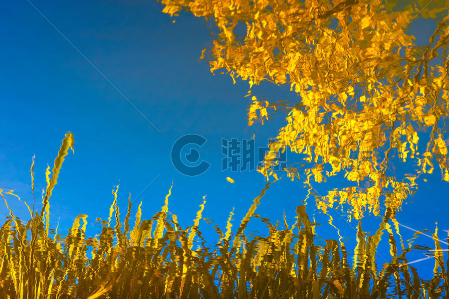 洱海倒映秋天的色彩图片素材免费下载