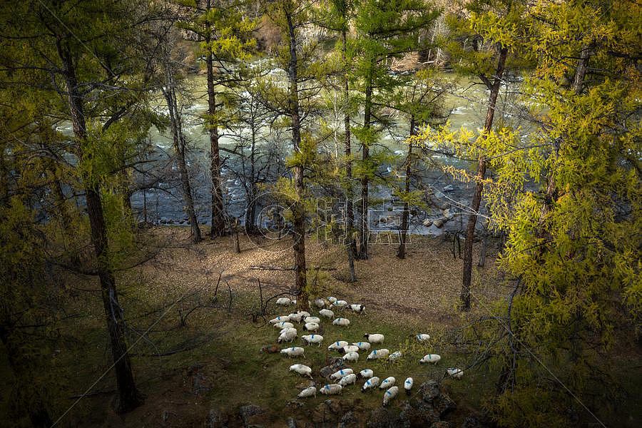 草原大峡谷里的羊群图片素材免费下载