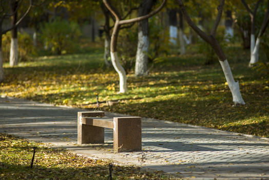 清晨公园石凳树林绿化图片素材免费下载