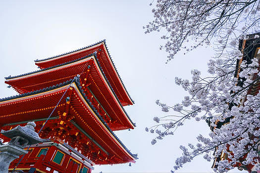 京都清水寺樱花图片素材免费下载