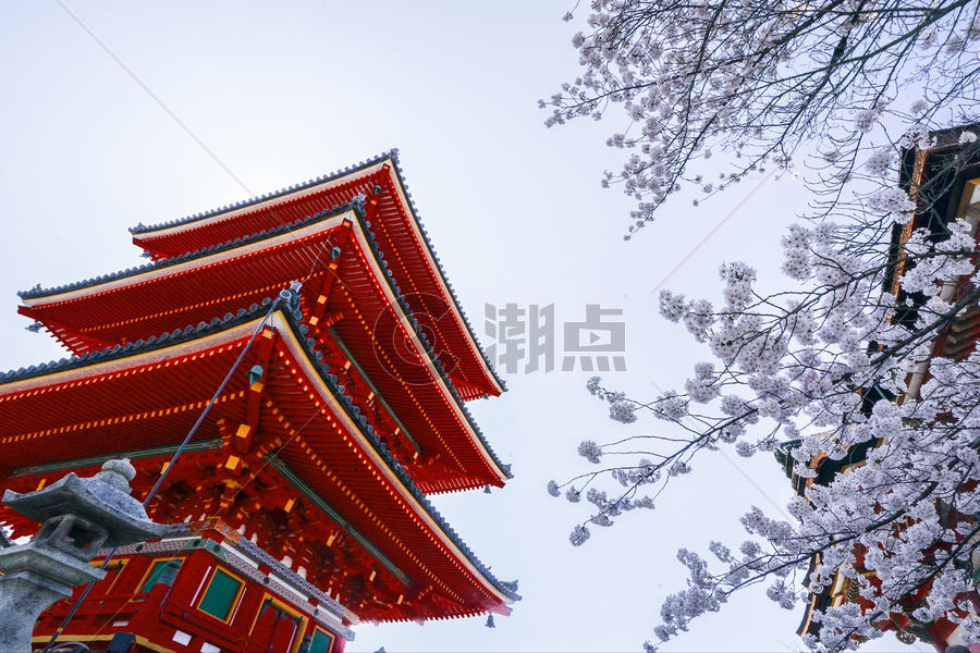 京都清水寺樱花图片素材免费下载 高清版权图片可商用70 潮点视频