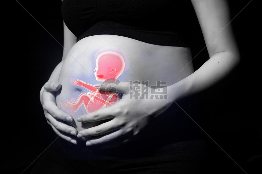 孕妇腹部透视图片素材免费下载