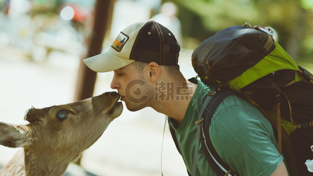 与鹿亲吻的游客图片素材免费下载