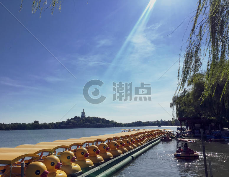 白塔寺公园的小黄鸭游船图片素材免费下载