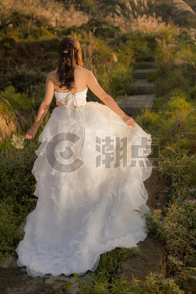 穿婚纱的女性图片素材免费下载
