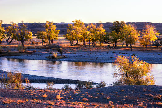 北疆河边秋色图片素材免费下载