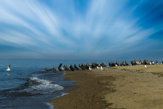青海湖鸟岛图片素材免费下载