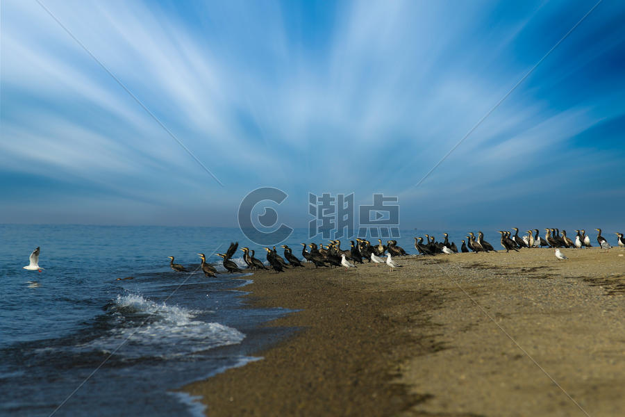 青海湖鸟岛图片素材免费下载