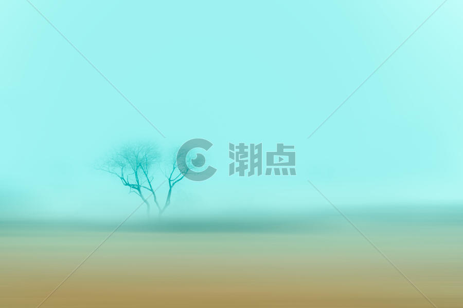 内蒙古坝上草原一棵树图片素材免费下载