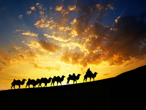 夕阳下的沙漠和骆驼剪影图片素材免费下载