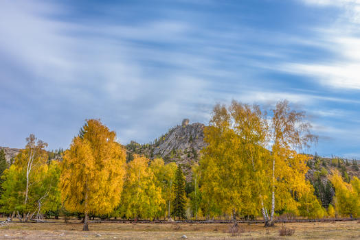 蔚蓝天空下的金色秋天图片素材免费下载