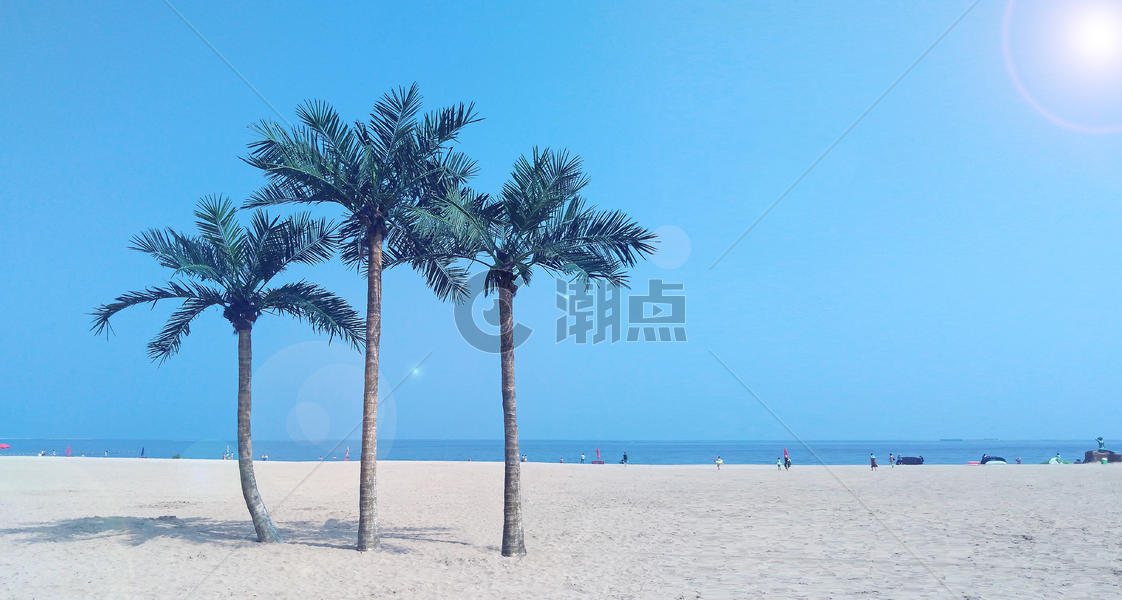 沙滩上的椰子树图片素材免费下载