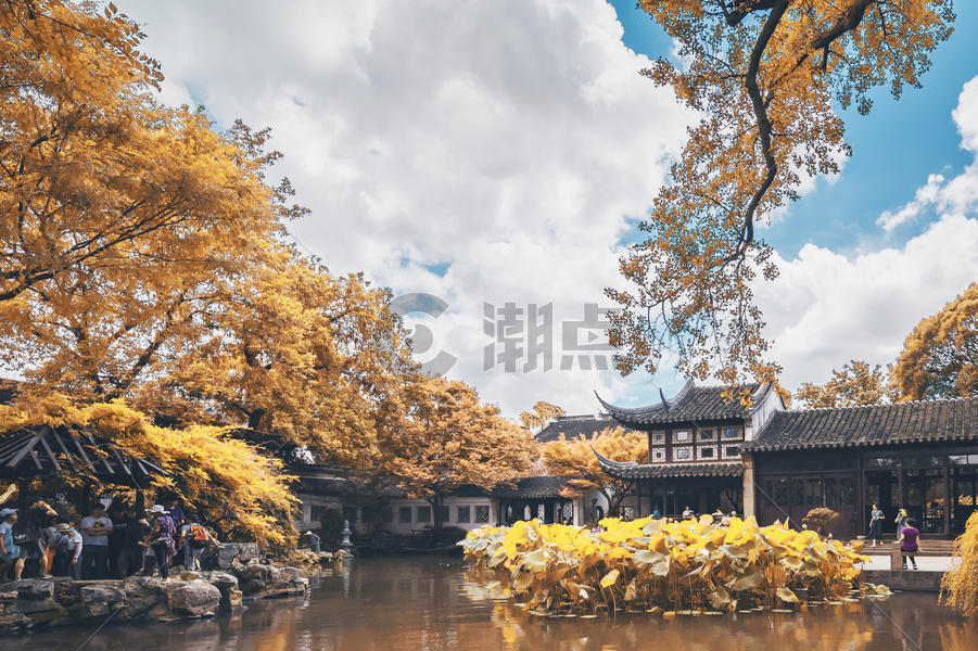 大明湖的秋季菊花展图片素材免费下载