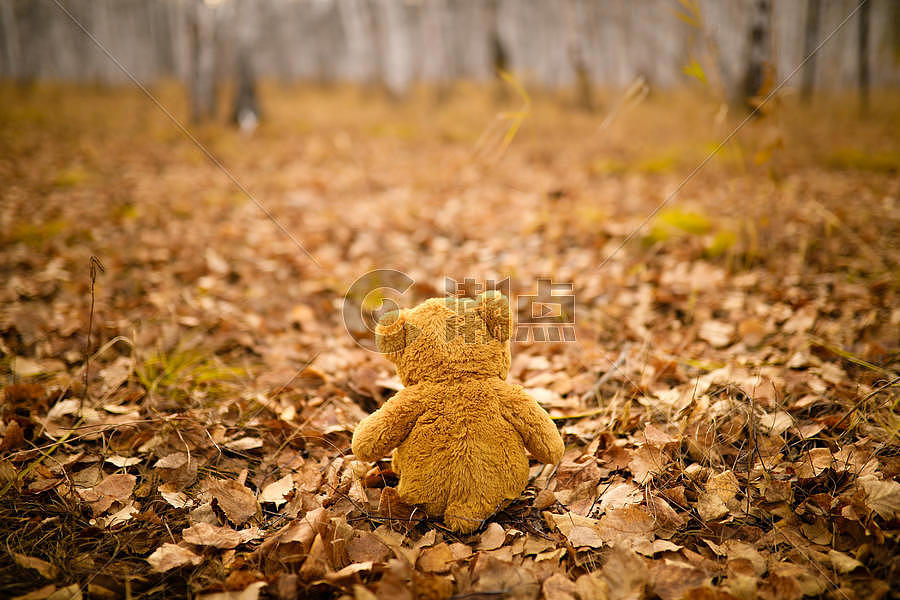 秋日里的泰迪熊图片素材免费下载