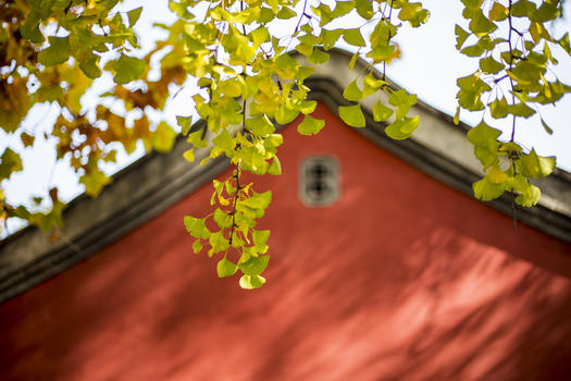 深秋的红房子图片素材免费下载