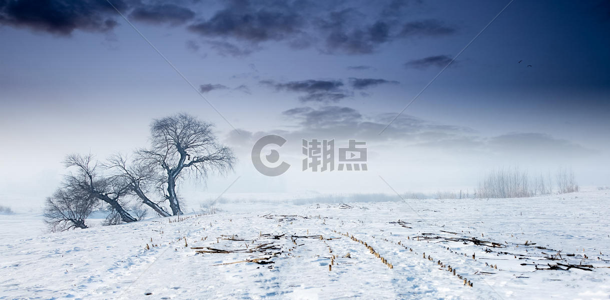 大漠雪景图片素材免费下载