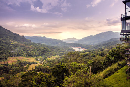 斯里兰卡高山茶园风光图片素材免费下载