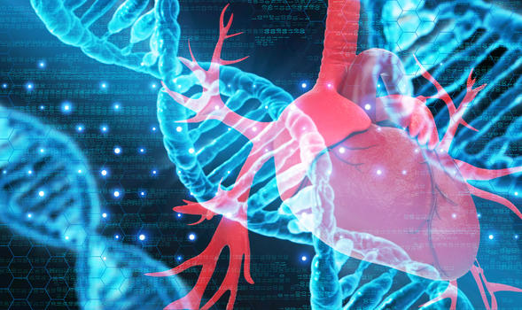 人体肝脏与DNA图片素材免费下载