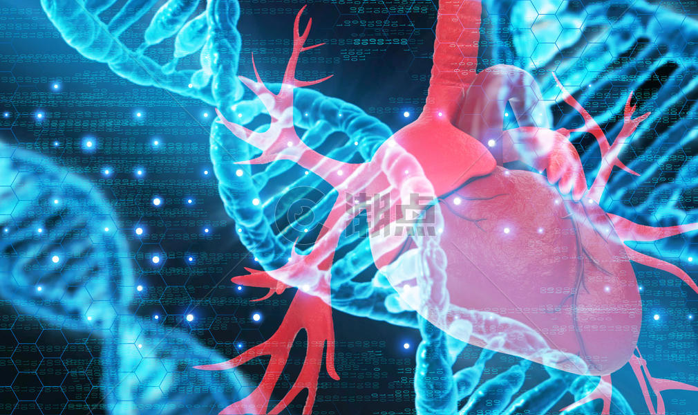 人体肝脏与DNA图片素材免费下载