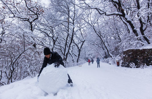 冬天雪景冬天下雪堆雪球的人图片素材免费下载