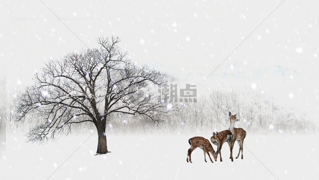 风雪中的动物图片素材免费下载
