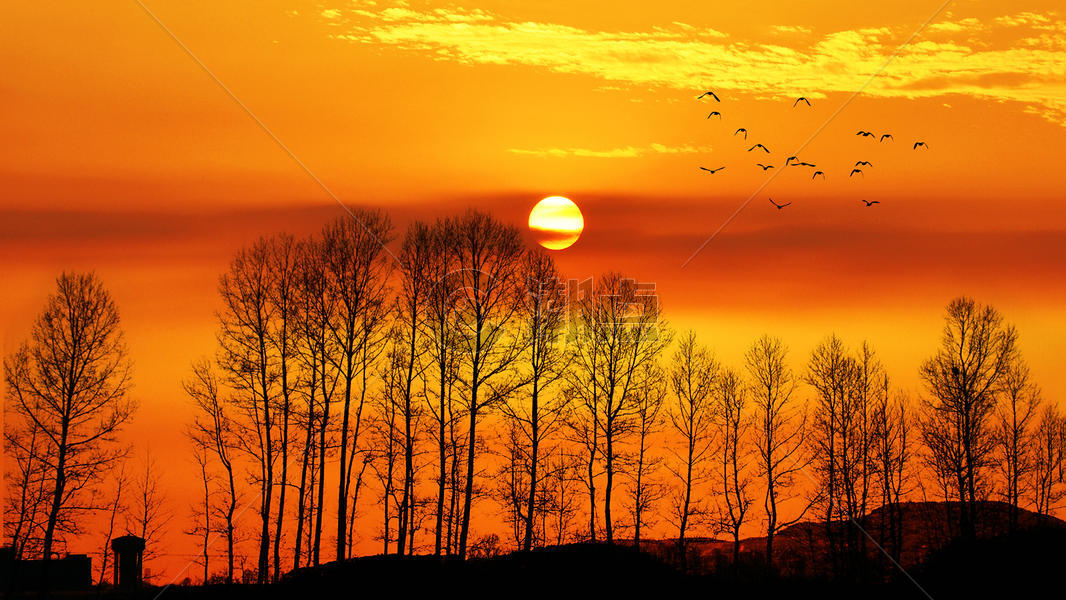 夕阳下的唯美黄昏剪影图片素材免费下载