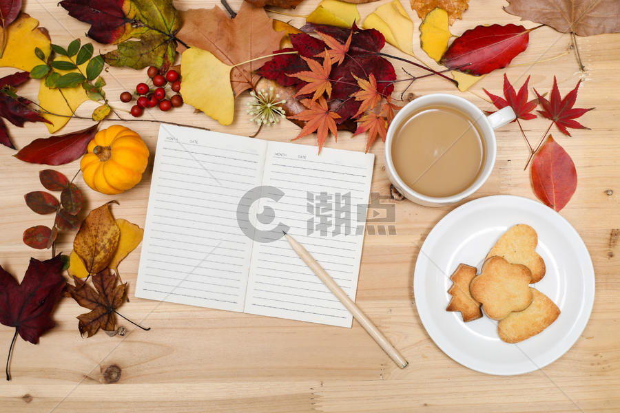 秋日落叶缤纷多彩的桌面图片素材免费下载