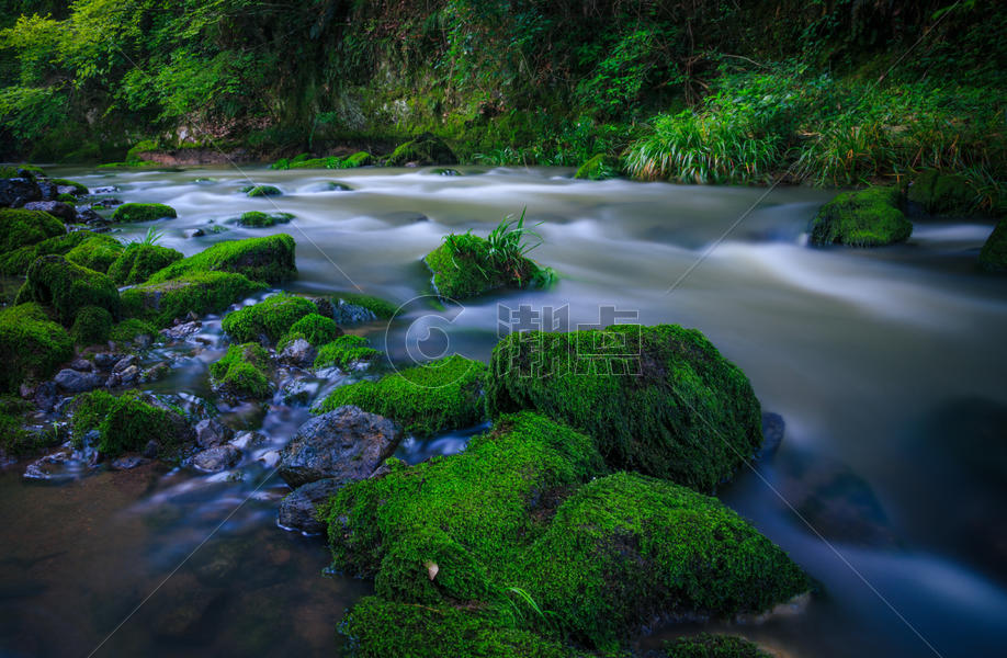 宁静的小溪与绿色青苔图片素材免费下载
